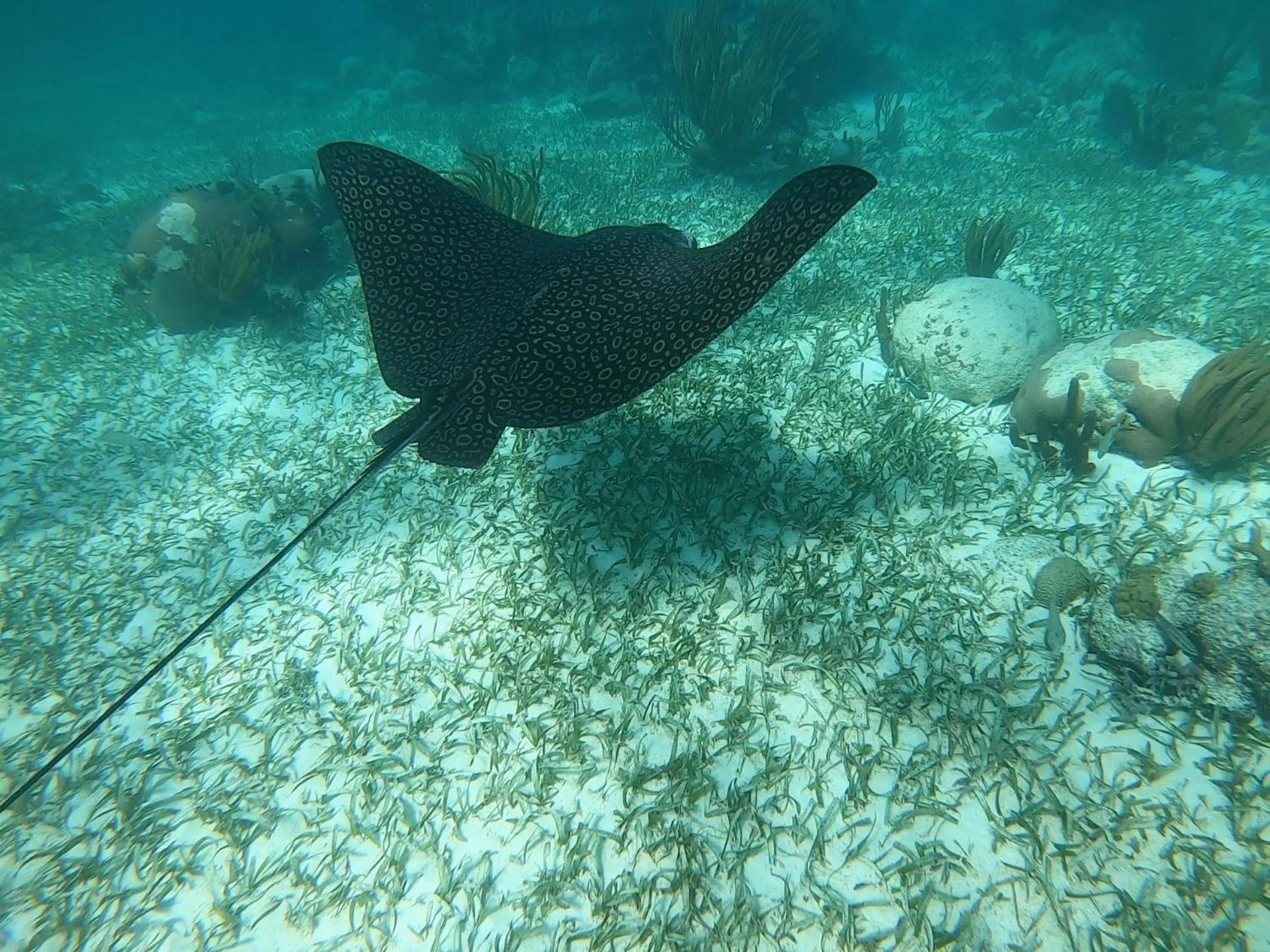 Marsa Alam Alam B&B מראה חיצוני תמונה