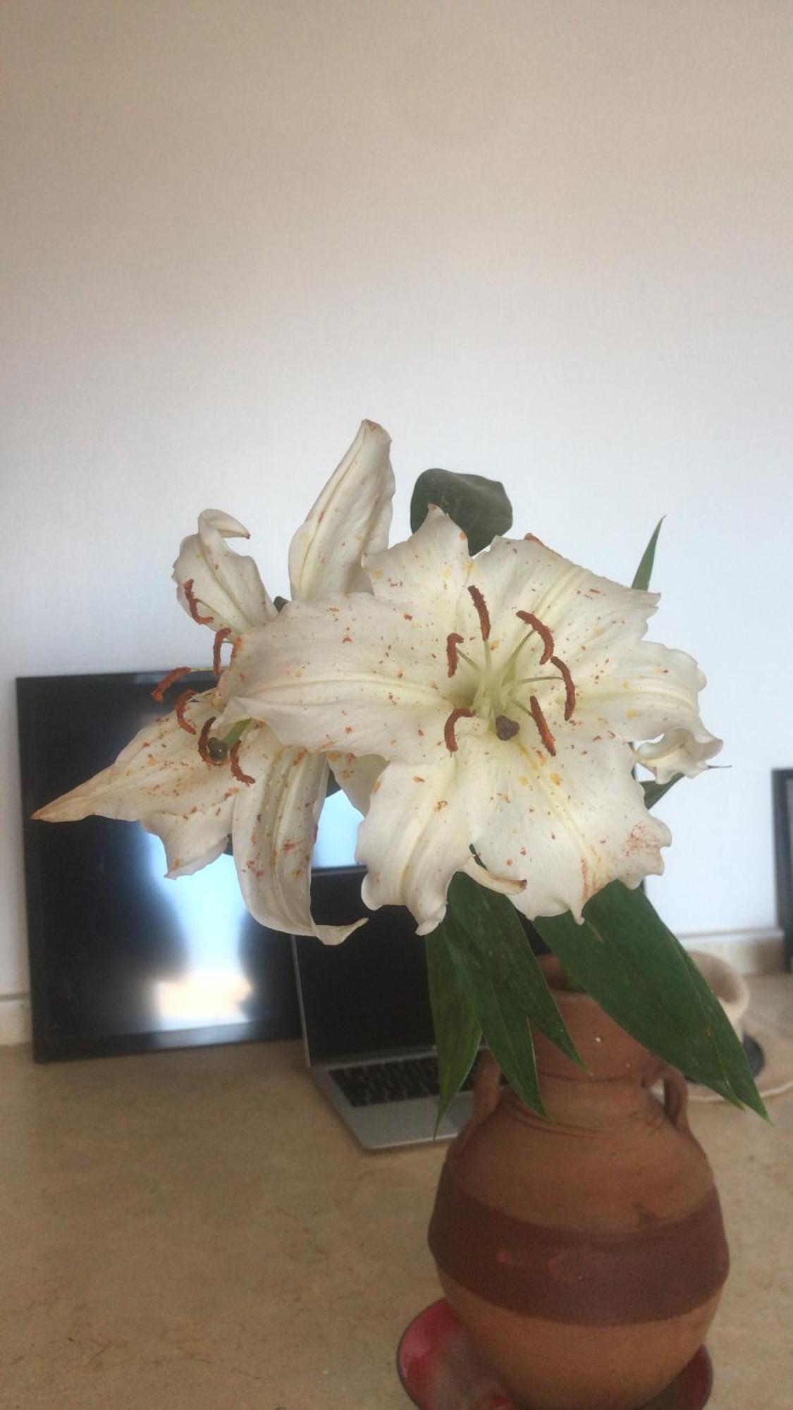 Marsa Alam Alam B&B מראה חיצוני תמונה