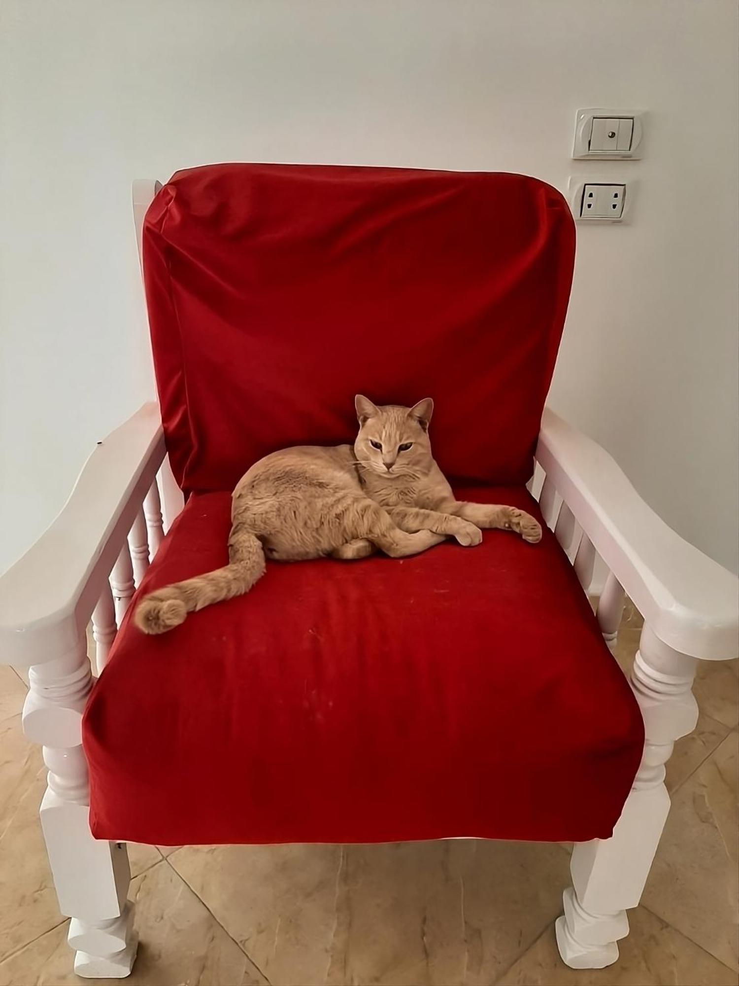 Marsa Alam Alam B&B מראה חיצוני תמונה