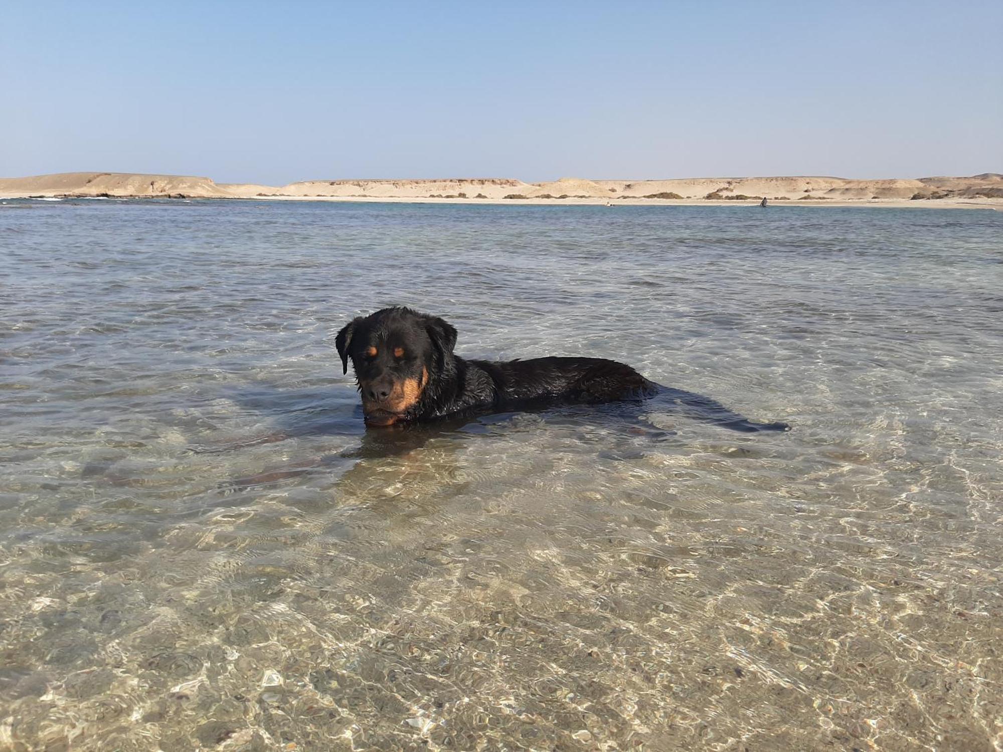 Marsa Alam Alam B&B מראה חיצוני תמונה